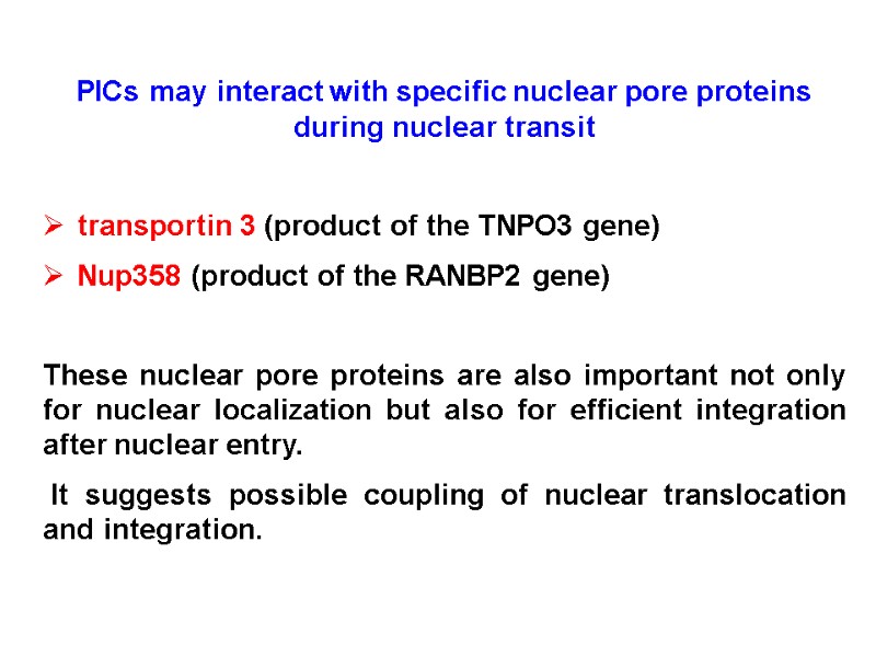 PICs may interact with specific nuclear pore proteins during nuclear transit  transportin 3